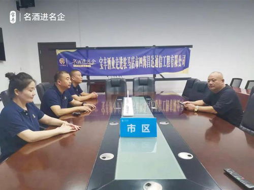 一連走進五家名企，寶豐酒業“走出去”戰略再添新篇章 信息技術咨詢服務助力企業騰飛
