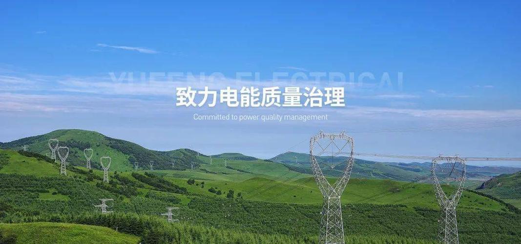 公司產(chǎn)品涵蓋用戶(hù)能效管理,電網(wǎng)無(wú)功補(bǔ)償設(shè)備,有源/無(wú)源濾波器,靜止